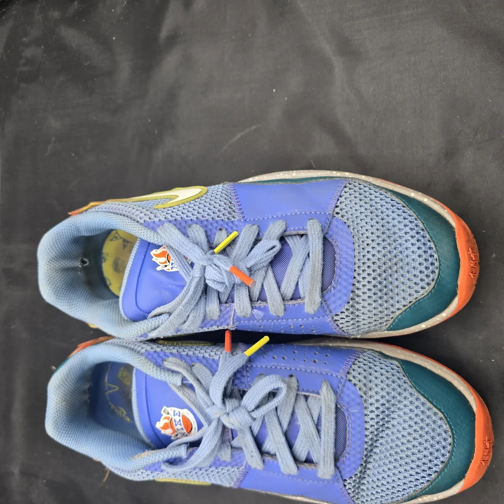 Nike‎ Blue and Orange Sneakers Dynamic Design